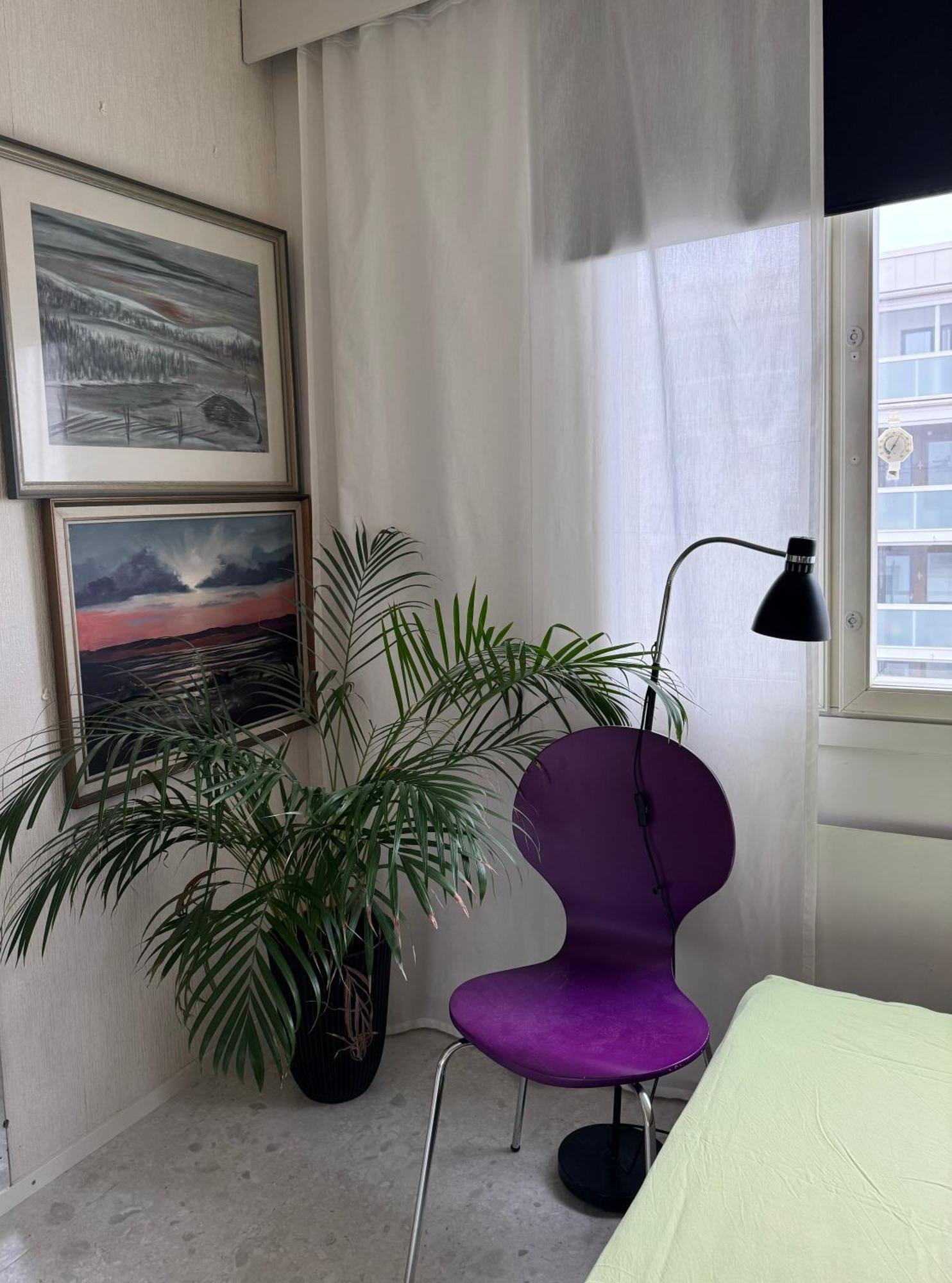 Guesthouse Isokatu61 Oulu Eksteriør billede
